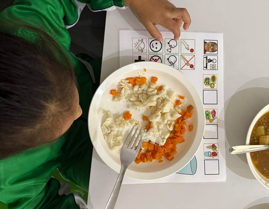 Promoción, Mantenimiento y Recuperación de la Autonomía Funcional